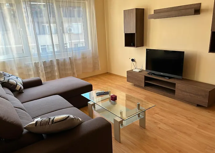 Nice, Spacious And Cozy Apartment